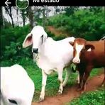 Caleb Salinas - Facebook