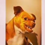 KalebSavage101 - @kalebsavage101 - Instagram