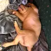 kalebsawyer761 - @kalebsawyer761 - TikTok