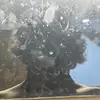 kaleb_schmidt - @kaleb_schmidt - TikTok
