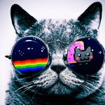 kaleb schmidt - @feefu_gaming - Instagram