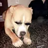 Kaleb Schmidt - @kaleb.odell._ - TikTok
