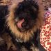 Kaleb Schmidt - Facebook