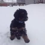 Tra Kaleb Schmidt - @schmidt_bros4230 - Instagram