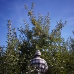 Kaleb Schroeder - @kbob202 - Instagram