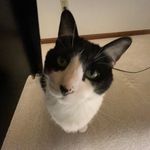 Kaleb Schroeder - @kschroeder0405 - Instagram
