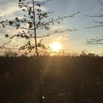 KalebSears_Secondary - @kalebsears_secondary - Instagram