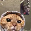 Kaleb - @kalebsharp0611isthebest2 - TikTok