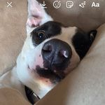 Kaleb Sharp - @kalebsharph - Instagram