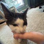 Caleb Shepherd - Facebook