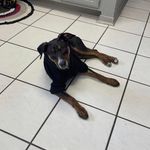 Kaleb Shepherd - @kalebshep34 - Instagram