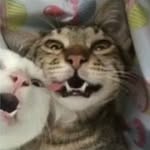 kaleb shepherd - @shepherd.kaleb - Instagram