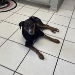 Kaleb Shepherd - Facebook