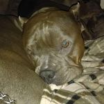 Kaleb Snow - @kaleb.snow.73 - Instagram