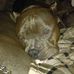 Kaleb Snow - Facebook