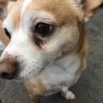 Kaleb Solis - @goofyboi1228 - Instagram