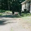 Kaleb Sorrell - @kalebsorrell - TikTok