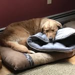 kalebspencer - @kalebspencer497 - Instagram