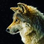 Caleb Spicer - @old_spice_caleb - Instagram