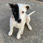 Caleb Spicer - @calebspicer4 - Instagram
