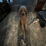 Kaleb Staacks - Facebook