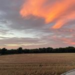 Kaleb Stafford - @kalebstafford0 - Instagram