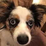 Kaleb Stark - @kaleb_stark06 - Instagram