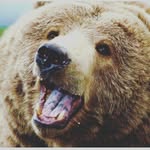 Kaleb Steinmetz - @kalebsteinmetz - Instagram
