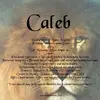 Kaleb Steins - @kaleb.steins - TikTok