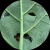 kaleb.stephenson - @kaleb.stephenson7 - TikTok