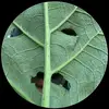 kaleb.stephenson - @kaleb.stephenson0 - TikTok