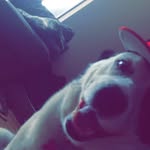 kaleb Stevens - @kaleb_steven.s - Instagram