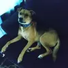 kaleb.stevens06 - @kaleb.stevens06 - TikTok