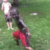 kalebstevenson353 - @kalebstevenson353 - TikTok