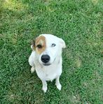 Kaleb Stone - Facebook