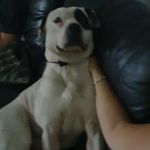kaleb fredrick strange - @kale4608 - Instagram