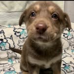 Kaleb - @kalebswanson_ - Instagram