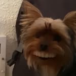 Kaleb Swanson - @kavminarvi - Instagram