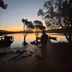 Rex - @kaleb.thomas_ - Instagram