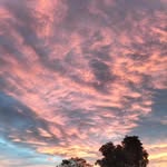 Kaleb Thomson - @kale_bboy - Instagram
