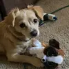 Kaleb Todd267 - @friend_hey - TikTok