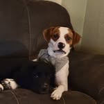 Kaleb Todd Melton - @kalebtodd_19 - Instagram