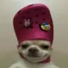 kalebtodd1 - @kaleb9648 - TikTok