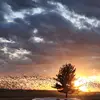 Kaleb Townsend - @kaleb.townsend6 - TikTok