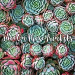 Succ On These Trinkets, Kaleea - @succonthesetrinkets - Instagram