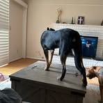 Caleb Triplett - Facebook