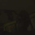 Kaleb - @kalebtriplett15 - Instagram