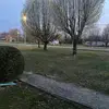 kalebtriplett3 - @kaleb.triplett - TikTok