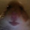 KALEB TYLER - @pro_splods - TikTok
