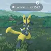 caleb tyson - @caleb.t65 - TikTok